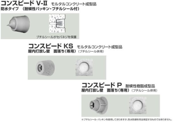 画像1: コンドーテックコンスピード (1)